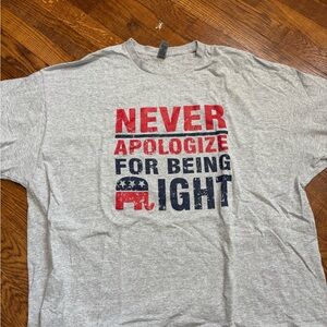 Gildan Gray Patriotic Graphic Men's T-Shirt